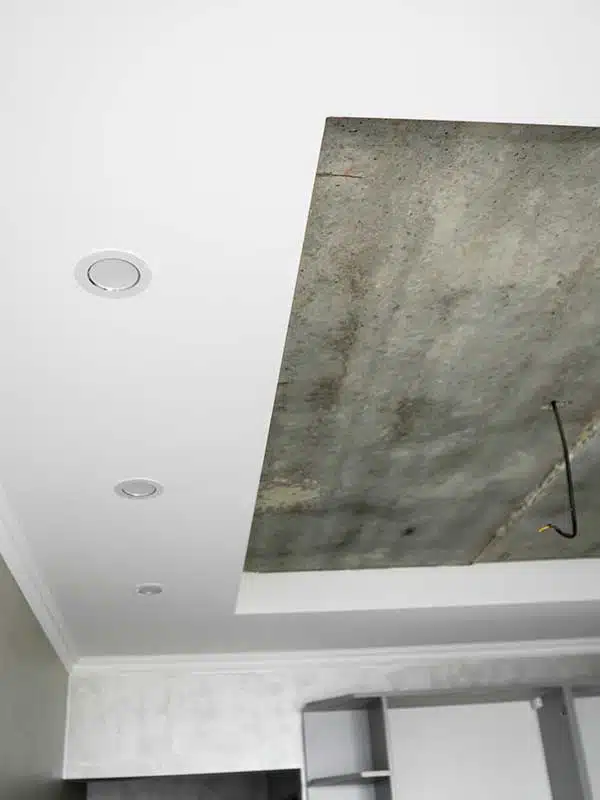 New Construction and Remodels in Pineville